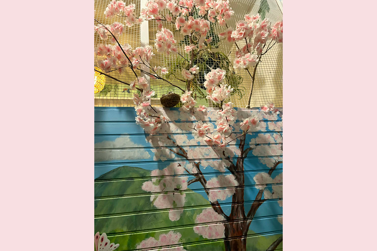 Cat Boarding Garden Room