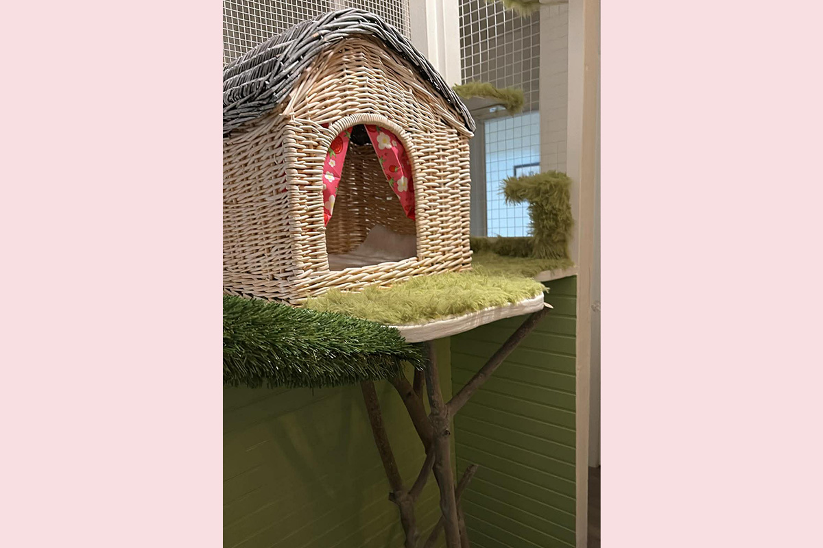 Cat Boarding Garden Room