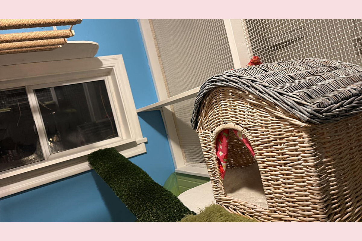 Cat Boarding Garden Room