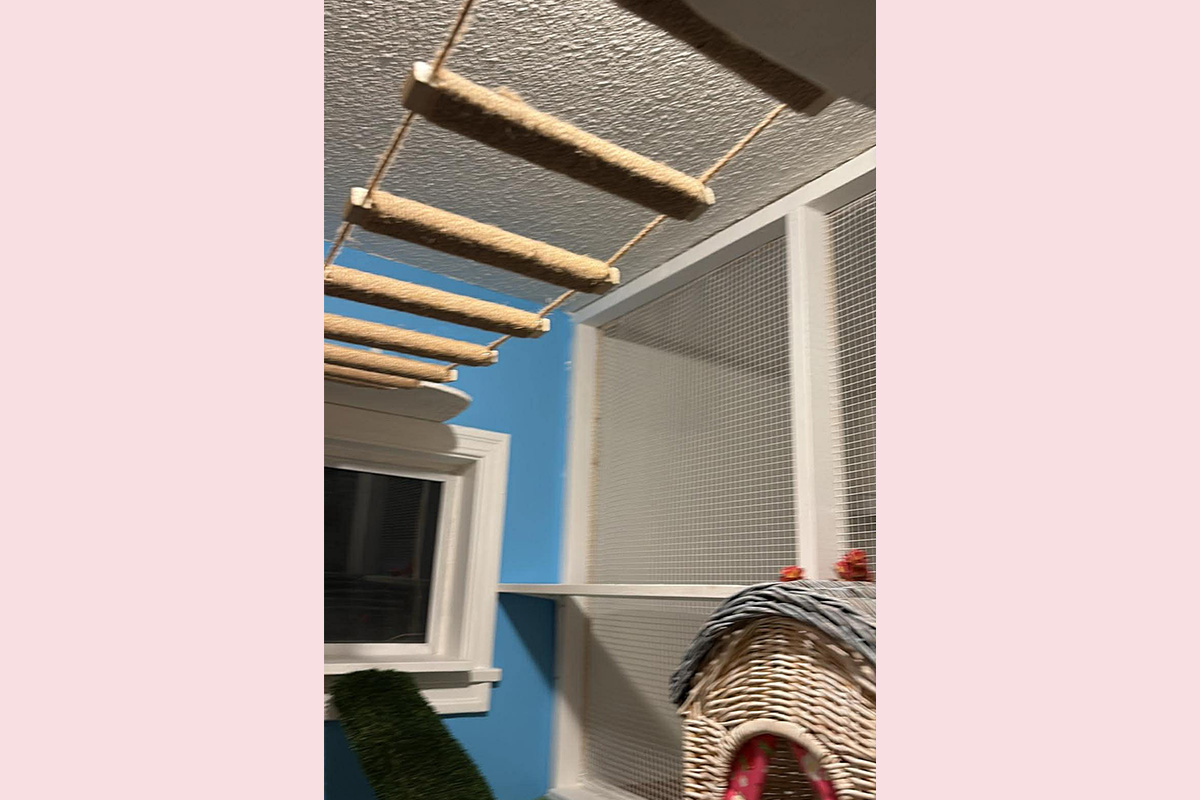 Cat Boarding Garden Room