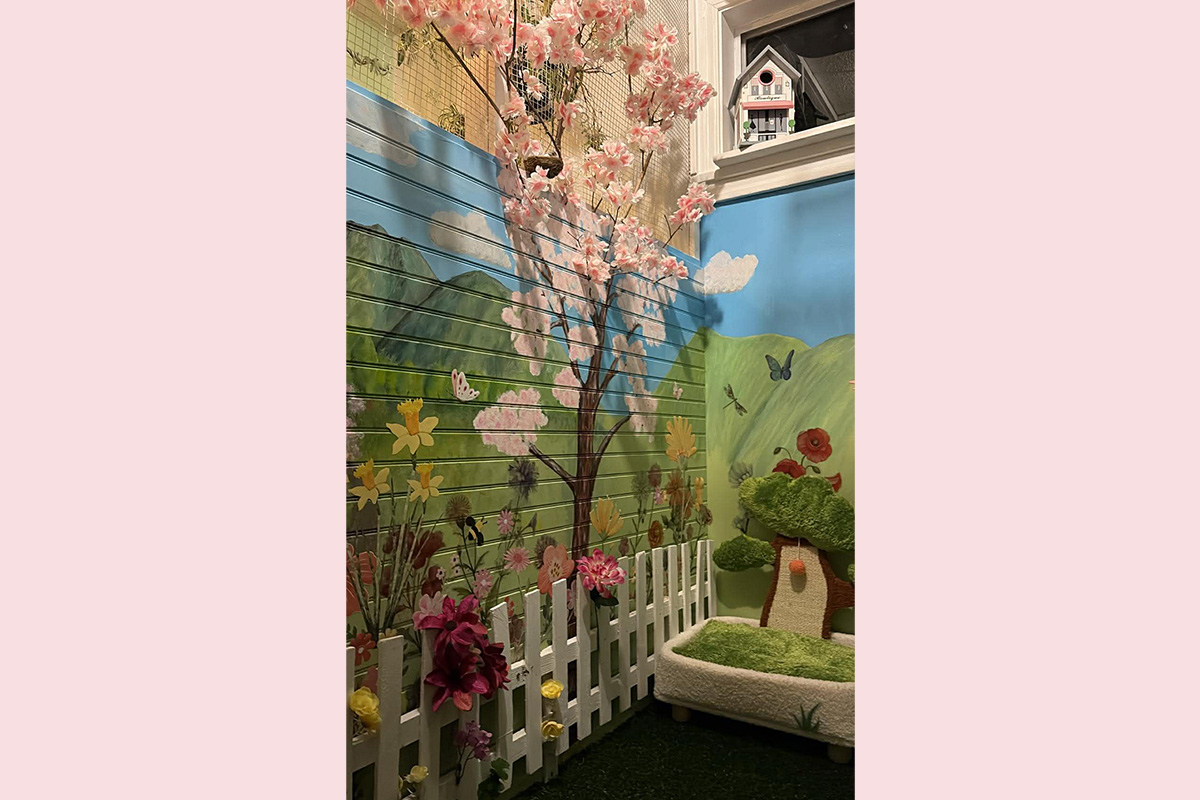 Cat Boarding Garden Room